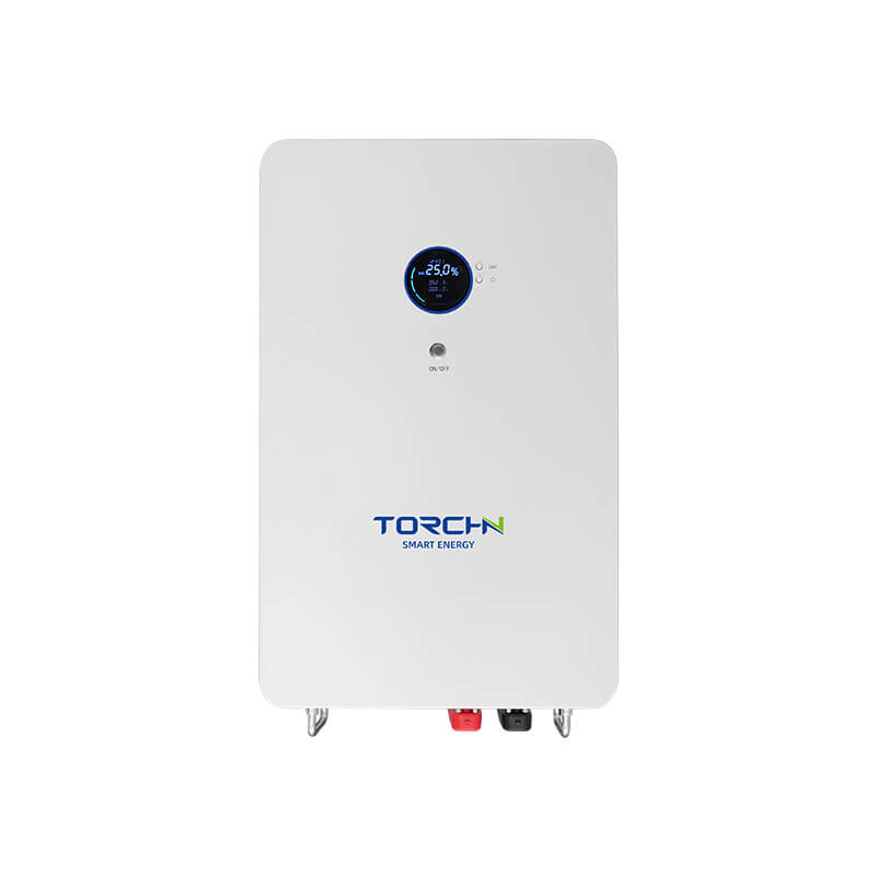 WKC F01-51.2100 51.2 V 100 Ah LiFePO4 Energy Storage Battery